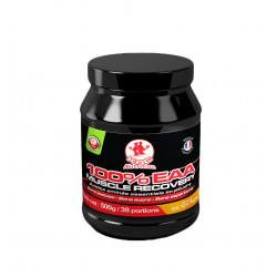 EAA RECOVERY VEGAN 500 GR