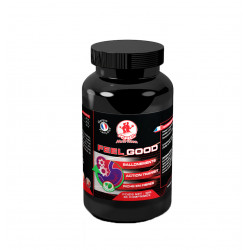 FEEl GOOD VEGAN 60 CAPSULES