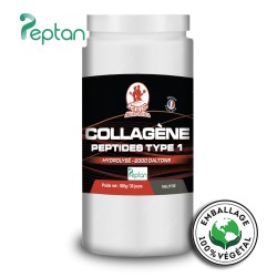 PEPTIDES DE COLLAGENE...